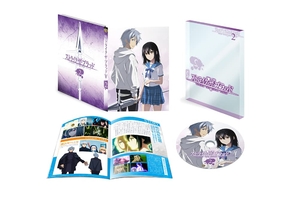 (中古品) ストライク・ザ・ブラッドFINAL OVA Vol.2(初回仕様版) [DVD]