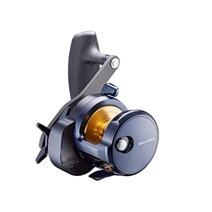 (中古品) ダイワ(DAIWA) ベイトリール 22 ソルティガ 15-SJ(2022モデル)
