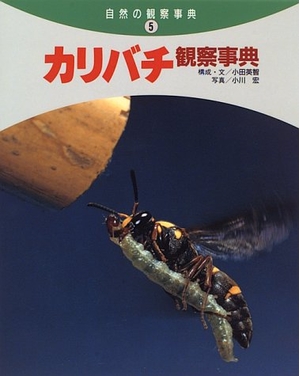 (中古品) カリバチ見澄ます字引き (気取らないの見澄ます字引き 5)