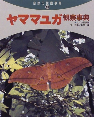 (中古品) ヤママユガ観察事典 (自然の観察事典 18)