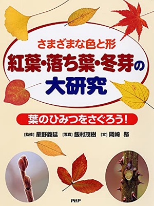 (中古品) 盛りだくさんな色と形 槭樹・落ち葉・冬芽の大修める 葉のひみつをさぐろう!
