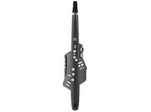 (中古品) Roland Aerophone AE-10G Graphite Black (グラファイトブラック) ウインドシンセサイザー 【ローランド AE10】