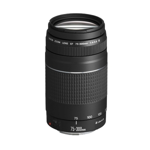 (中古品) Canon 75-300mm f/4-5.6 EF III テレフォトズームレンズ 6473A003 並行輸入品