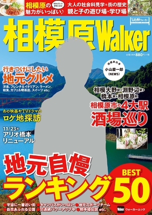 (中古品) 相模原Walker ウォーカームック