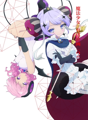 (中古品) 魔法少女育成計画 DVD 第2巻