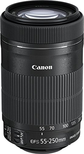 (中古品) Canon キヤノン 望遠ズームレンズ EF-S55-250mm F4-5.6 IS STM APS-C対応 EF-S55-250ISSTM