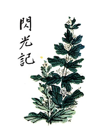 (中古品) 閃光記(オンデマンド版)