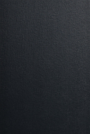 (中古品) 近代満洲の開発と移民—渤海を渡った人びと (汲古叢書)