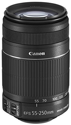 (中古品) Canon キヤノン 望遠ズームレンズ EF-S55-250mm F4-5.6 IS II APS-C対応
