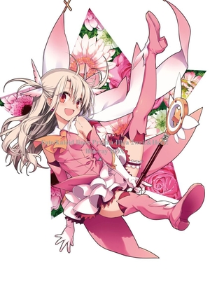 (中古品) Fate/kaleid liner プリズマ☆イリヤ ツヴァイ! &ヘルツ! Blu-ray BOX