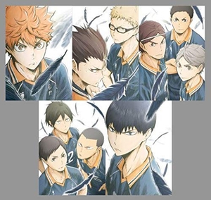 (中古品) ハイキュー!! (初回生産限定版) 鳥野高校vs白鳥沢学園高校　Blu-ray　5巻セット