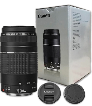 (中古品) キャノンEF 75-300mm f/4-5.6 III 望遠ズームレンズ