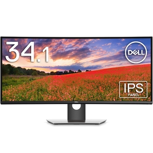 (中古品) Dell 曲面モニター 34.1インチ U3419W(間無輝点交換保証/フレームレス/スピーカー付/USB Type-C/UWQHD/IPS非光沢/USB-CDPHDMIx2/高さ調整)