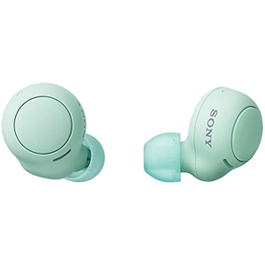 (中古品) ソニー(SONY) 完全ワイヤレスイヤホン WF-C500 : /軽量小型5.4g/高精度通話品質/簡単ペアリング/IPX4防滴性能/アイスグリーン WF-C500 GZ