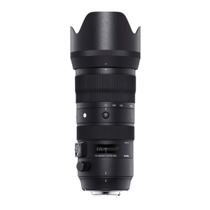 (中古品) SIGMA シグマ Nikon Fマウント レンズ 70-200mm F5-6.3 DG OS HSM ズーム 望遠 フルサイズ Sports 一眼レフ 専用