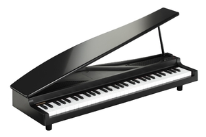 (中古品) KORG MICROPIANO マイクロピアノ ミニ鍵盤61鍵 ブラック 61曲のデモソング内蔵 自動演奏可能