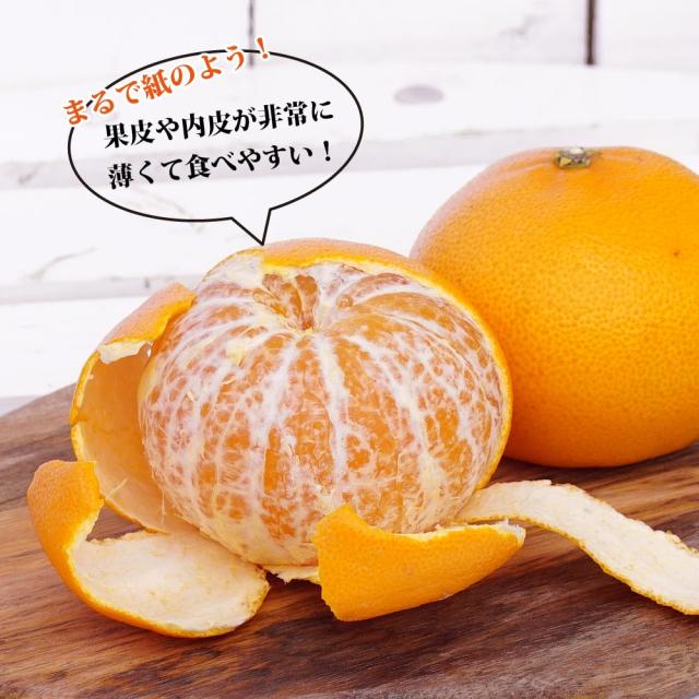 せとか3年生 実つき！ 登録品種