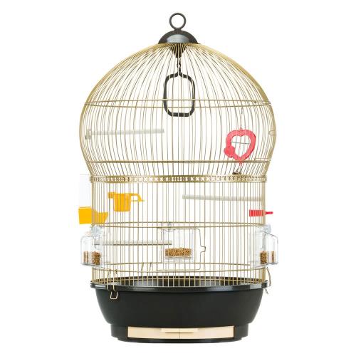ファープラスト バリ ゴールド Bali Gold 鳥籠 ゲージ フルセット アンティークブラス 小型鳥用