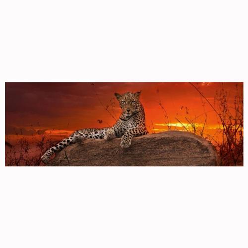 HEYE Puzzle ヘイパズル 29608 Alexander von Humboldt : Red Dawn (2000 pieces)