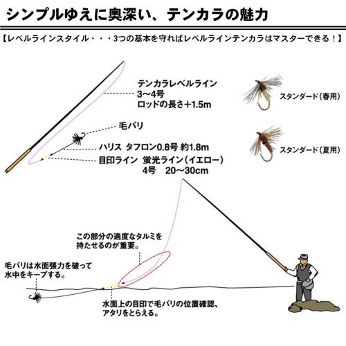 ダイワ(DAIWA) 渓流竿 テンカラRT 30 釣り竿