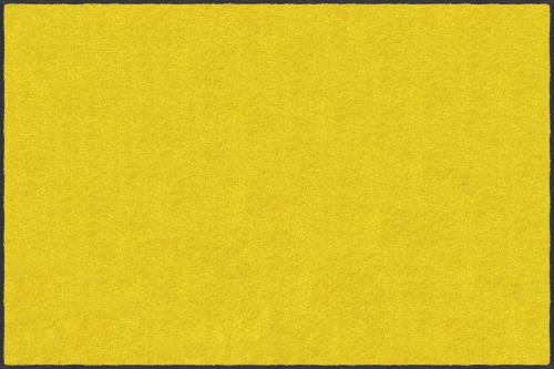 日本製 クリーンテックス・ジャパン(Kleen-Tex) 万能玄関マット スタンダードマットS イエロー 60×90cm AM00020