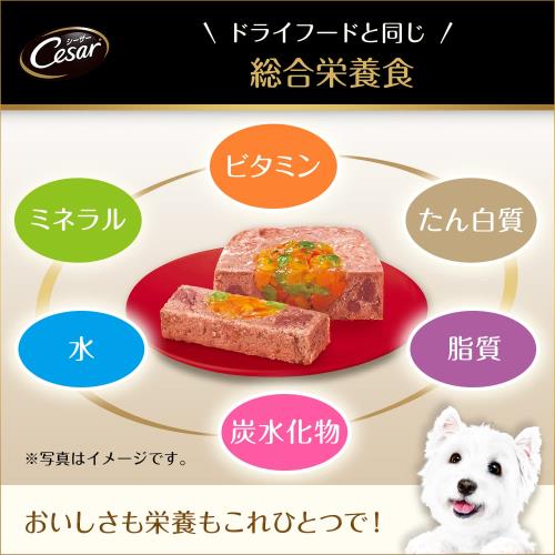 シーザー 御盆 14歳からの 年がしら犬用 100g×96個 絹ささみ 蔬菜入り口・入口 水分付けたし ふわふわローフタイプ 組み入れる栄養分食 老いらく期 情の籠もったボンネット ドッグフード 缶詰 犬 Cesar 大収容能力 まとめ買い 入れもの売りわたす