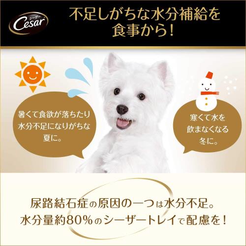 シーザー 御盆 14歳からの 年がしら犬用 100g×96個 絹ささみ 蔬菜入り口・入口 水分付けたし ふわふわローフタイプ 組み入れる栄養分食 老いらく期 情の籠もったボンネット ドッグフード 缶詰 犬 Cesar 大収容能力 まとめ買い 入れもの売りわたす