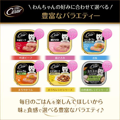 シーザー 御盆 14歳からの 年がしら犬用 100g×96個 絹ささみ 蔬菜入り口・入口 水分付けたし ふわふわローフタイプ 組み入れる栄養分食 老いらく期 情の籠もったボンネット ドッグフード 缶詰 犬 Cesar 大収容能力 まとめ買い 入れもの売りわたす