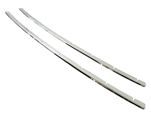 BRIGHTZ レヴォーグ VM4 VMG 超鏡面ステンレスフロントバンパーモール 2PC  FBUM-MOL-038  VM M4 MG 4 G レボーグ 25015