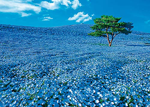 日本製 600ピースジグソーパズル ネモフィラの丘(38×53cm)