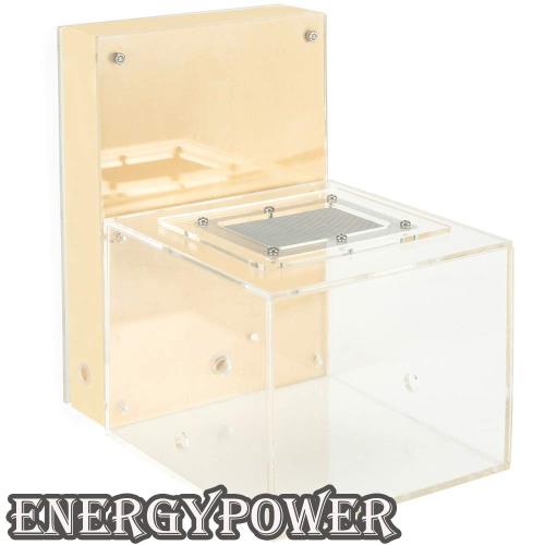 EnergyPower アリ飼育キット 石膏製巣箱 大型 アリ活動スペース付き 土