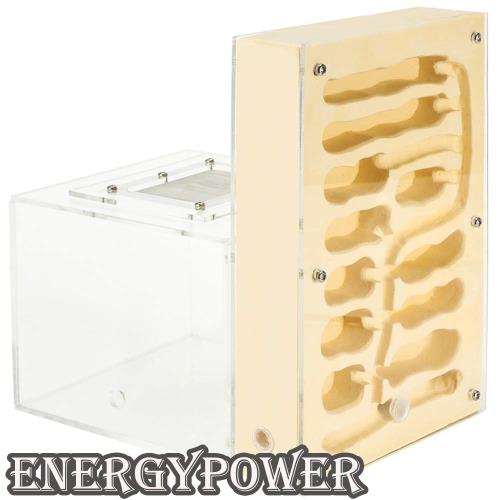 アリ飼育ケース　石膏巣 特大 EnergyPower アリ飼育キット 石膏製巣箱 大型 アリ活動スペース付き 土
