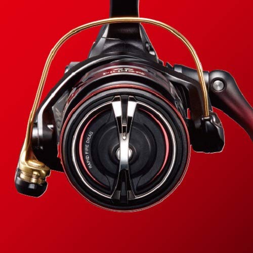 シマノ(SHIMANO) スピニングリール エギング 19 セフィア SS C3000S_2
