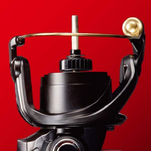 シマノ(SHIMANO) スピニングリール エギング 19 セフィア SS C3000S_3