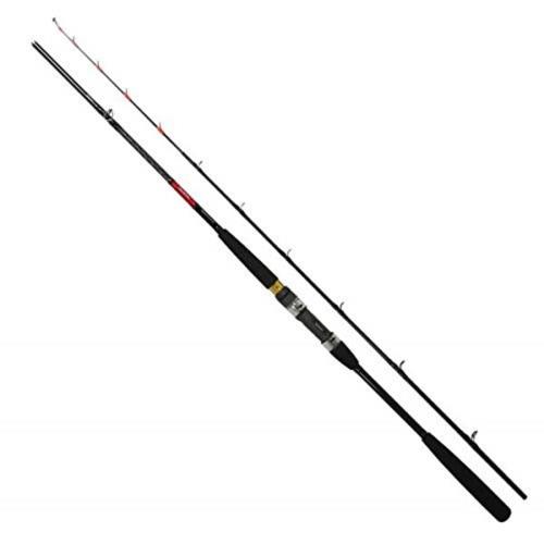ダイワ(DAIWA) 船竿 アカムツX M-210 釣り竿