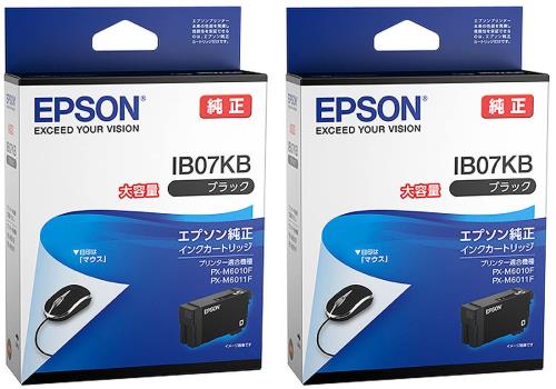 エプソン 純然たるインキ IB07KB 黒いこと 大収容能力 2本仕かける