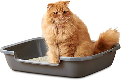 OFT シニア猫トイレ Kitty and Puppy Pan L キティアンドパピーパン 子猫やシニア猫 猫 犬 用 足の短い猫ちゃんに 入り口高さ8cm 猫トイレ 一体成型 外寸幅61×奥50.5×高12.5cm内寸幅48×奥39×高11cm入り口幅27×高8cm