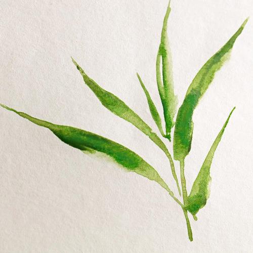 クレールフォンテーヌ 水彩紙 バンブー A4 (20枚入) 画用紙 中目 超厚口 250g パッド Clairefontaine cf975919