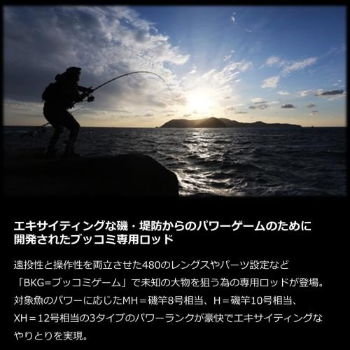 ダイワ(DAIWA) バトルゲーム ブッコミゲーム(BG BKG) T H480_2
