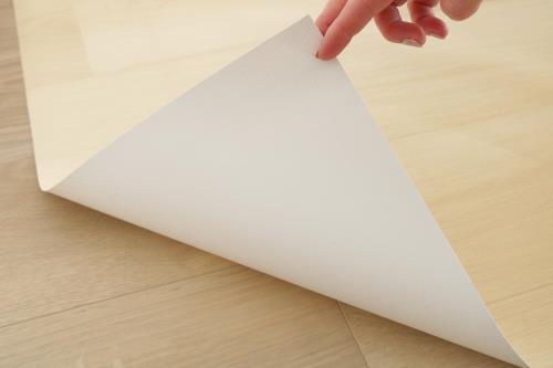 明和グラビア 防水 ペットのための滑りにくい廊下敷き ペット シート ラグ 廊下 防滑 消臭 お手入れ簡単 ズレ防止シール付き PRO-0250 80cm×5m ベージュ 日本製_3