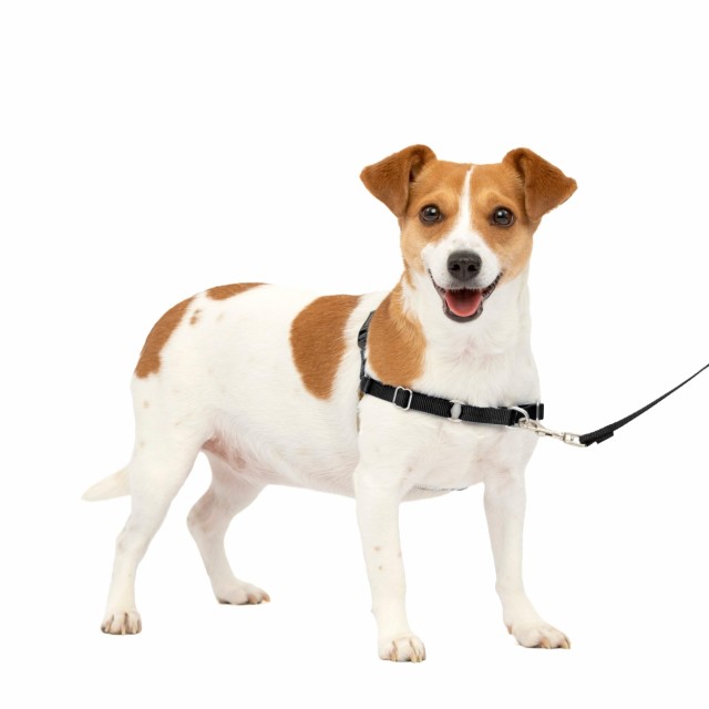PetSafe イージーウォークハーネス (S, ブラック＆シルバー)