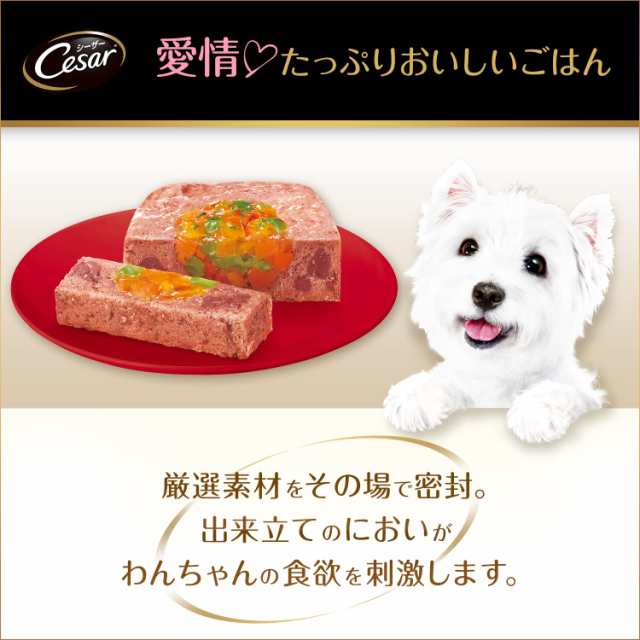 シーザー シニア犬用 11歳からの 味わいチキン チーズ・パンプキン・野菜入り 100g×24個 (まとめ買い) [ドッグフード・ウェット]