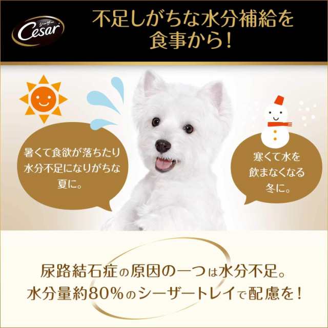 シーザー シニア犬用 11歳からの 味わいチキン チーズ・パンプキン・野菜入り 100g×24個 (まとめ買い) [ドッグフード・ウェット]
