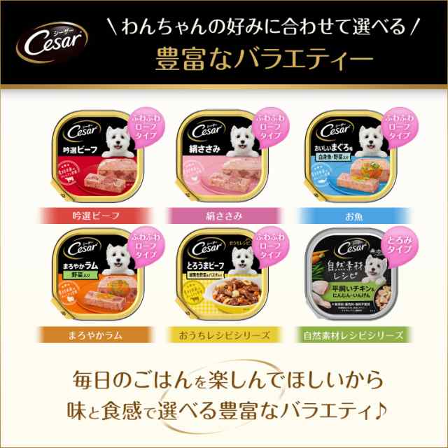 シーザー シニア犬用 11歳からの 味わいチキン チーズ・パンプキン・野菜入り 100g×24個 (まとめ買い) [ドッグフード・ウェット]