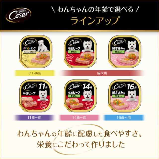シーザー シニア犬用 11歳からの 味わいチキン チーズ・パンプキン・野菜入り 100g×24個 (まとめ買い) [ドッグフード・ウェット]