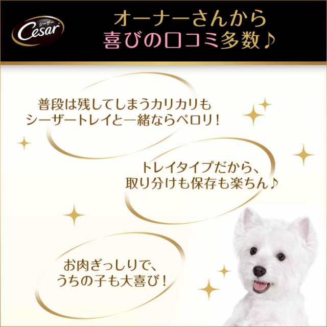 シーザー シニア犬用 11歳からの 味わいチキン チーズ・パンプキン・野菜入り 100g×24個 (まとめ買い) [ドッグフード・ウェット]