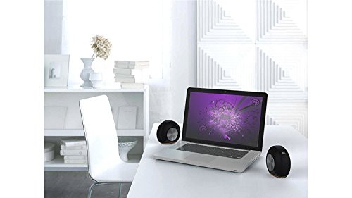 JBL Pebbles バスパワードスピーカー USB/DAC内蔵 ブラック JBLPEBBLESBLKJNの通販は