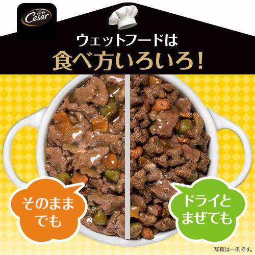 シーザー ドッグフード おうちレシピ やわらかチキン チーズ野菜入り 100g×24個 (まとめ買い)の通販は