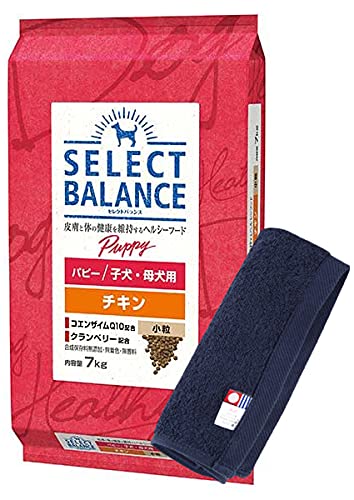 セレクトバランス パピー チキン 小粒 7kg 犬想いオリジナル 今治ハンドタオルセットタオルカラー ネイビー正規品 9,103円