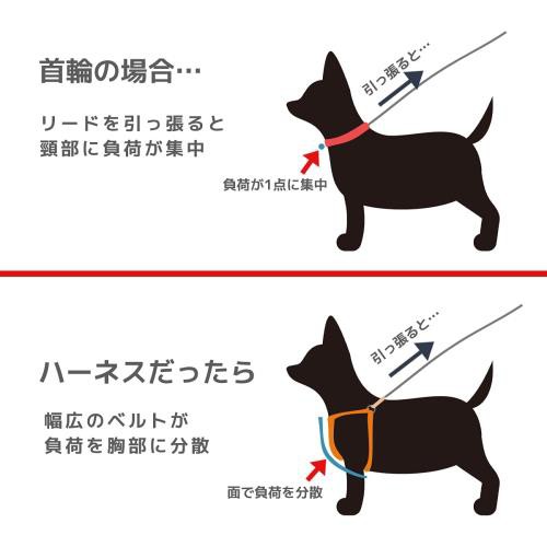[ラフィカロ] ハーネス 小型犬 中型犬 犬ハーネス おしゃれ 犬用 犬用胴輪 ドッグ軽い 簡単装着 人気 丈夫 首輪 リード 着脱簡単 ・ ブルーの通販は